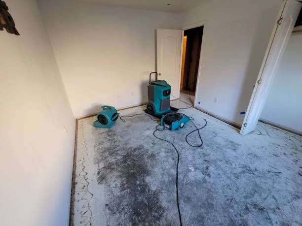 Best Local water damage restoration  in Claremont, NC
