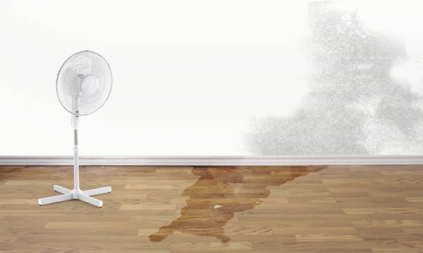 Best Water damage repair service  in Claremont, NC