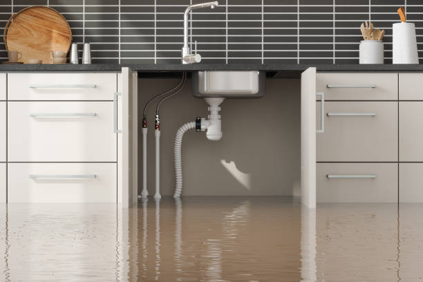 Best Emergency water extraction  in Claremont, NC