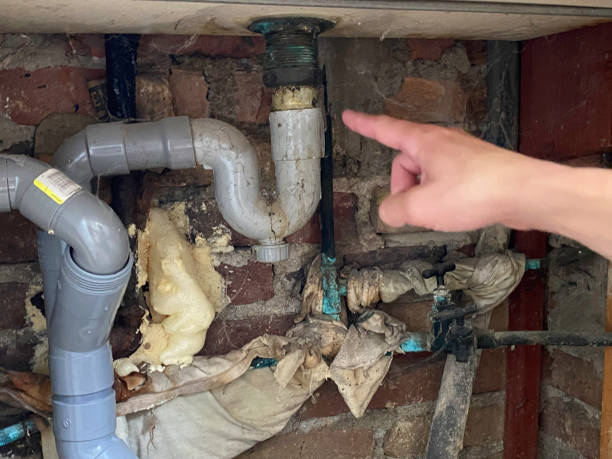 Best Water damage restoration near me  in Claremont, NC